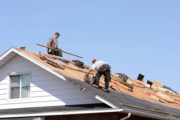 Best Roof Leak Repair  in Wendell, ID